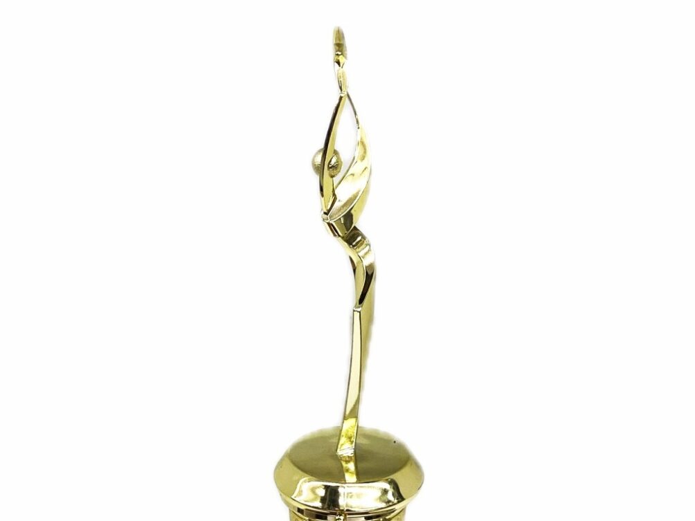 Rearch For The Stars Trophy 290mm