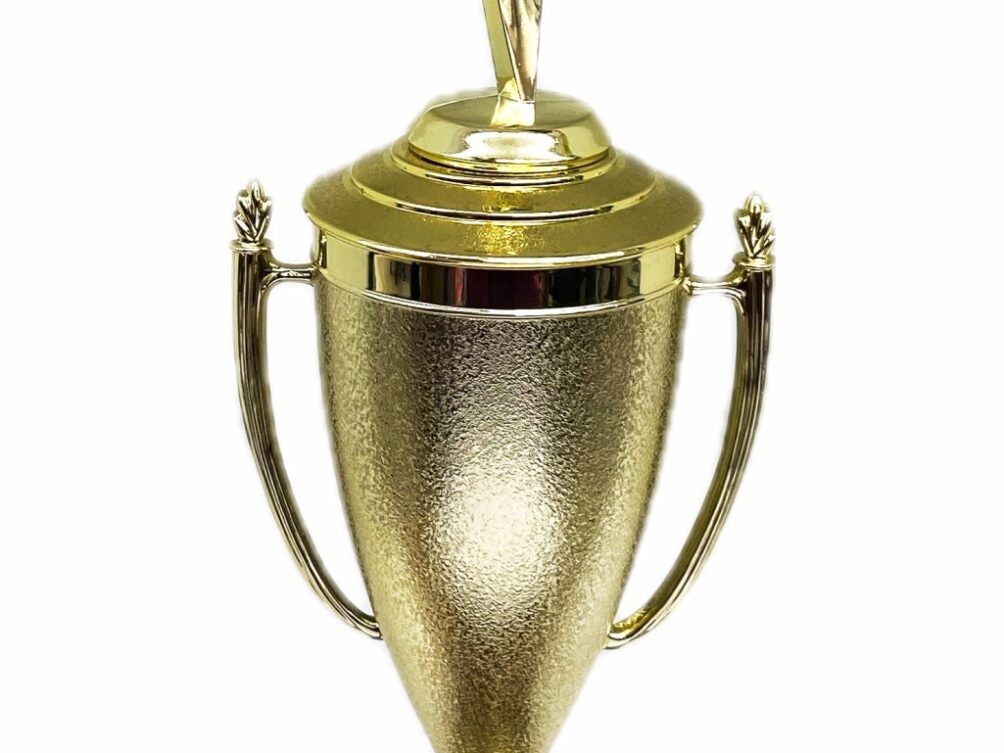 Rearch For The Stars Trophy 390mm