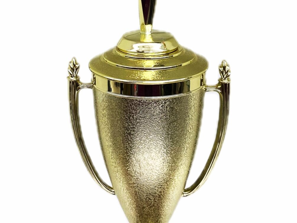 Rearch For The Stars Trophy 390mm