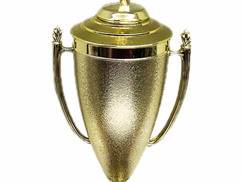 Rearch For The Stars Trophy 430mm