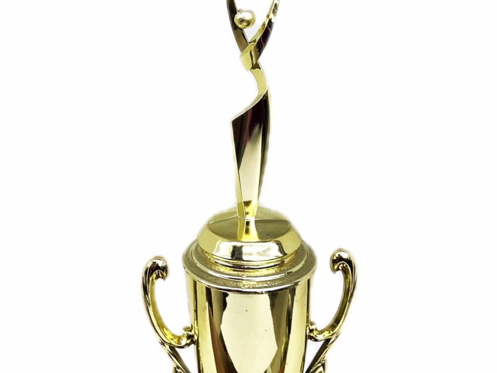 Rearch For The Stars Trophy 315mm