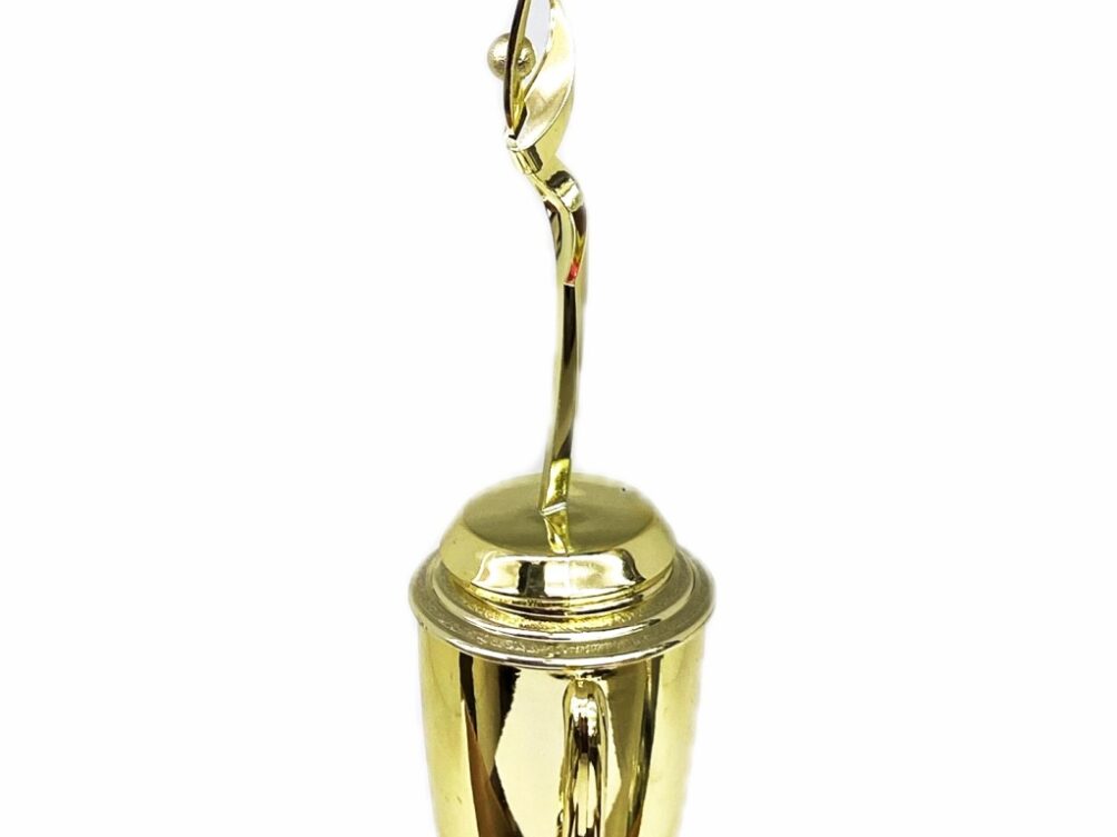 Rearch For The Stars Trophy 315mm