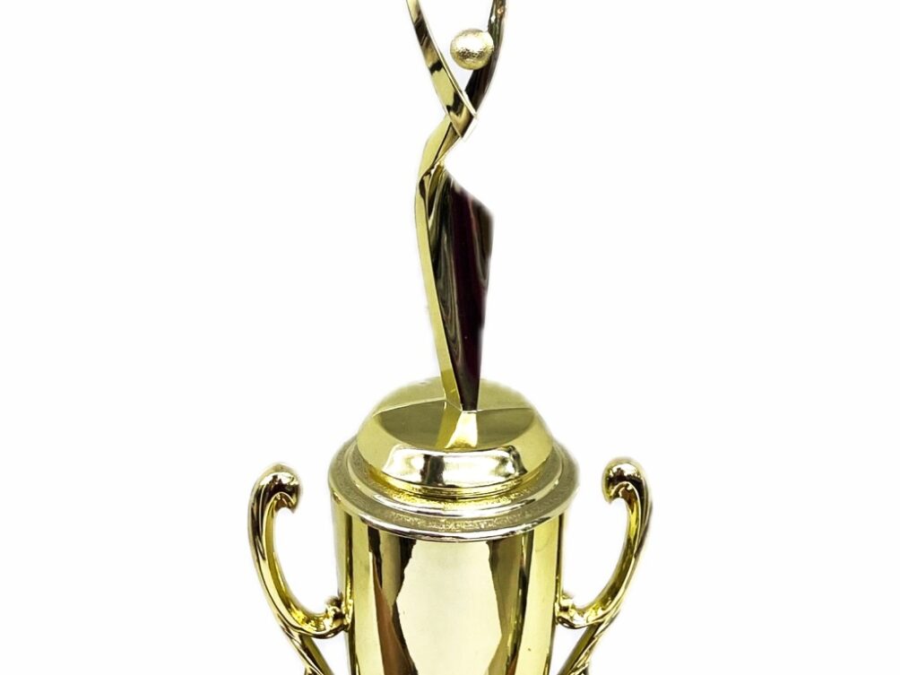 Rearch For The Stars Trophy 315mm