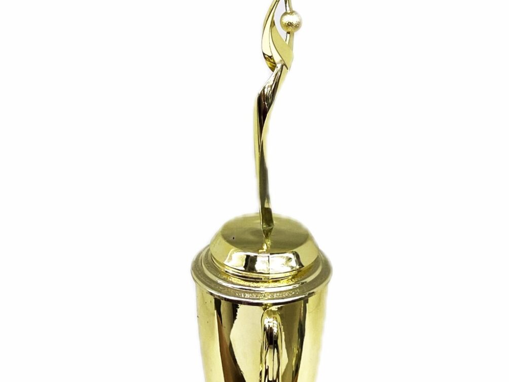 Rearch For The Stars Trophy 315mm