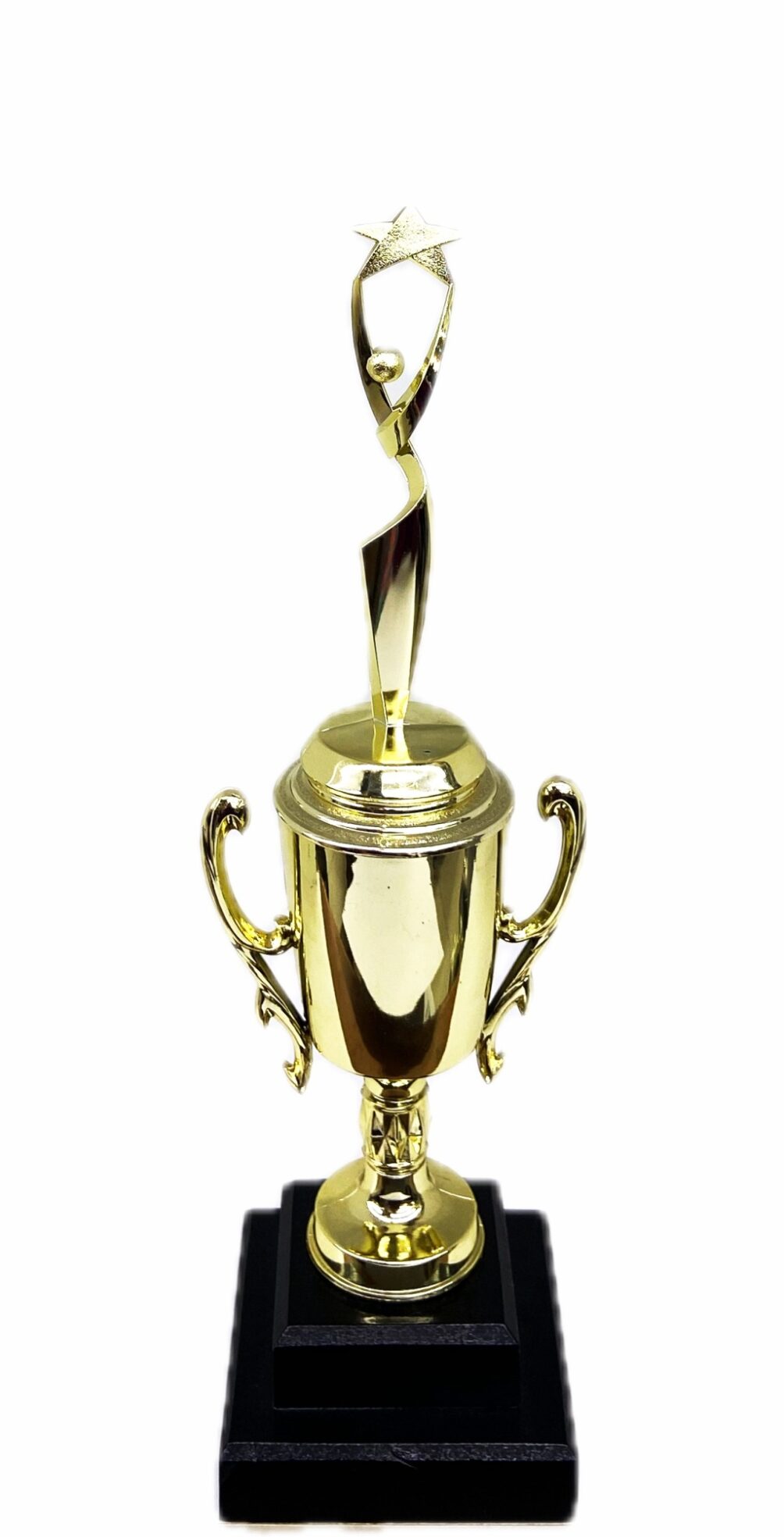 Rearch For The Stars Trophy 350mm
