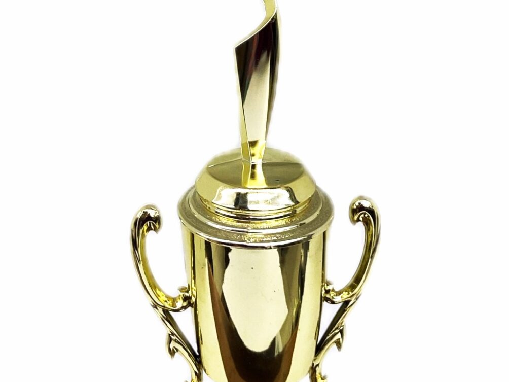 Rearch For The Stars Trophy 350mm