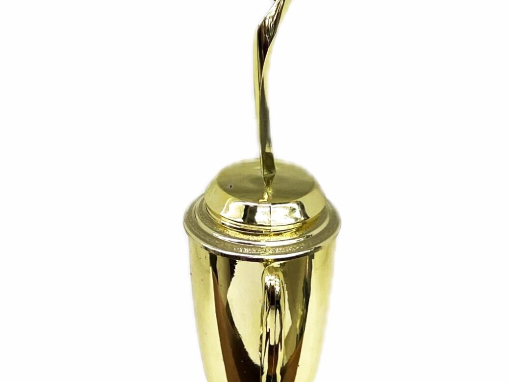 Rearch For The Stars Trophy 350mm