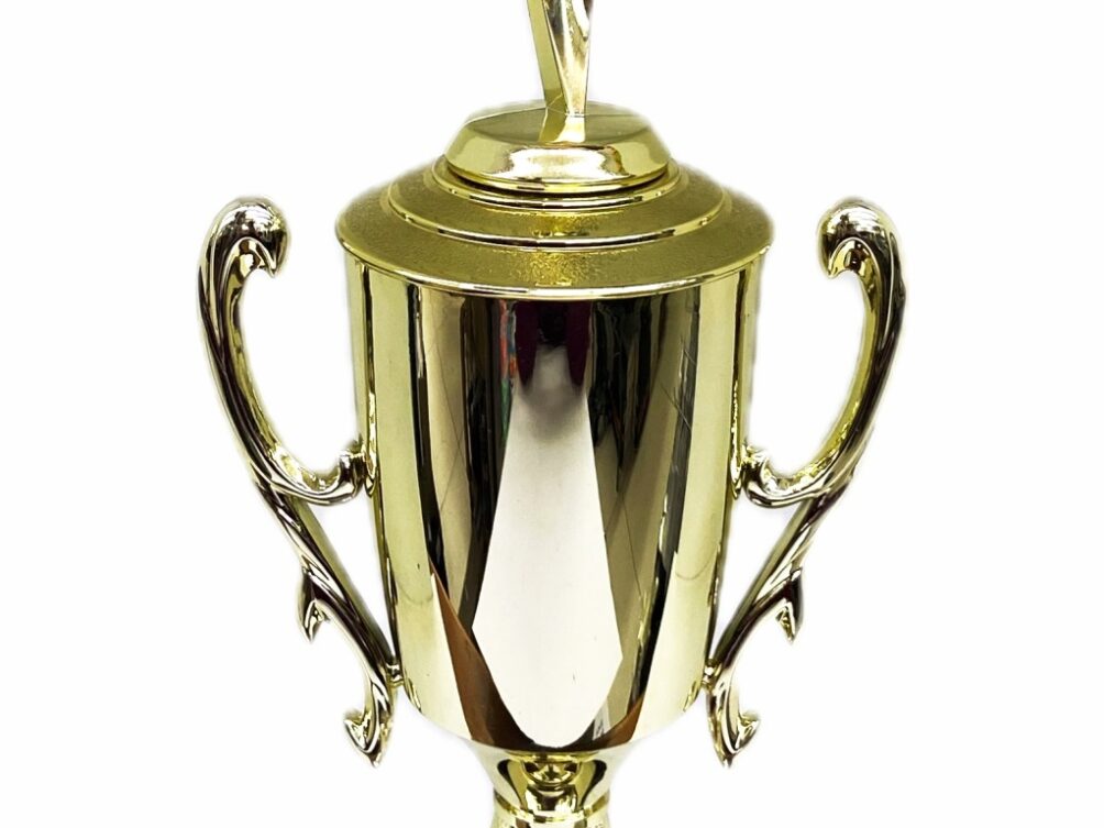 Rearch For The Stars Trophy 390mm