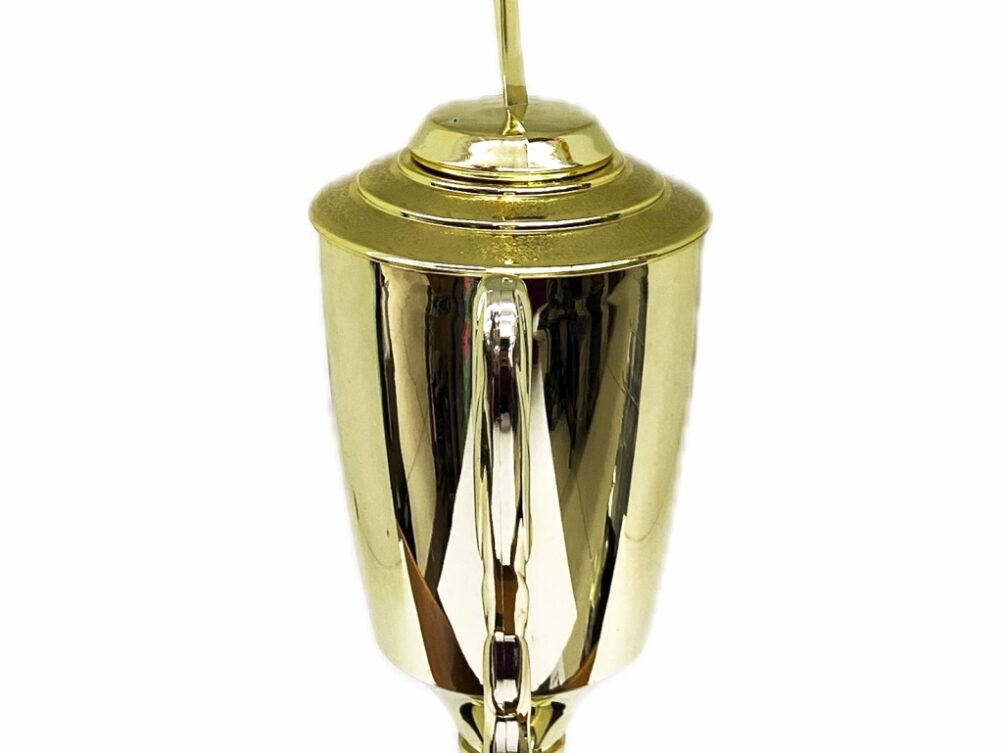 Rearch For The Stars Trophy 390mm