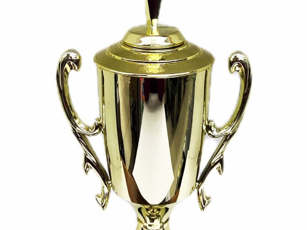 Rearch For The Stars Trophy 390mm