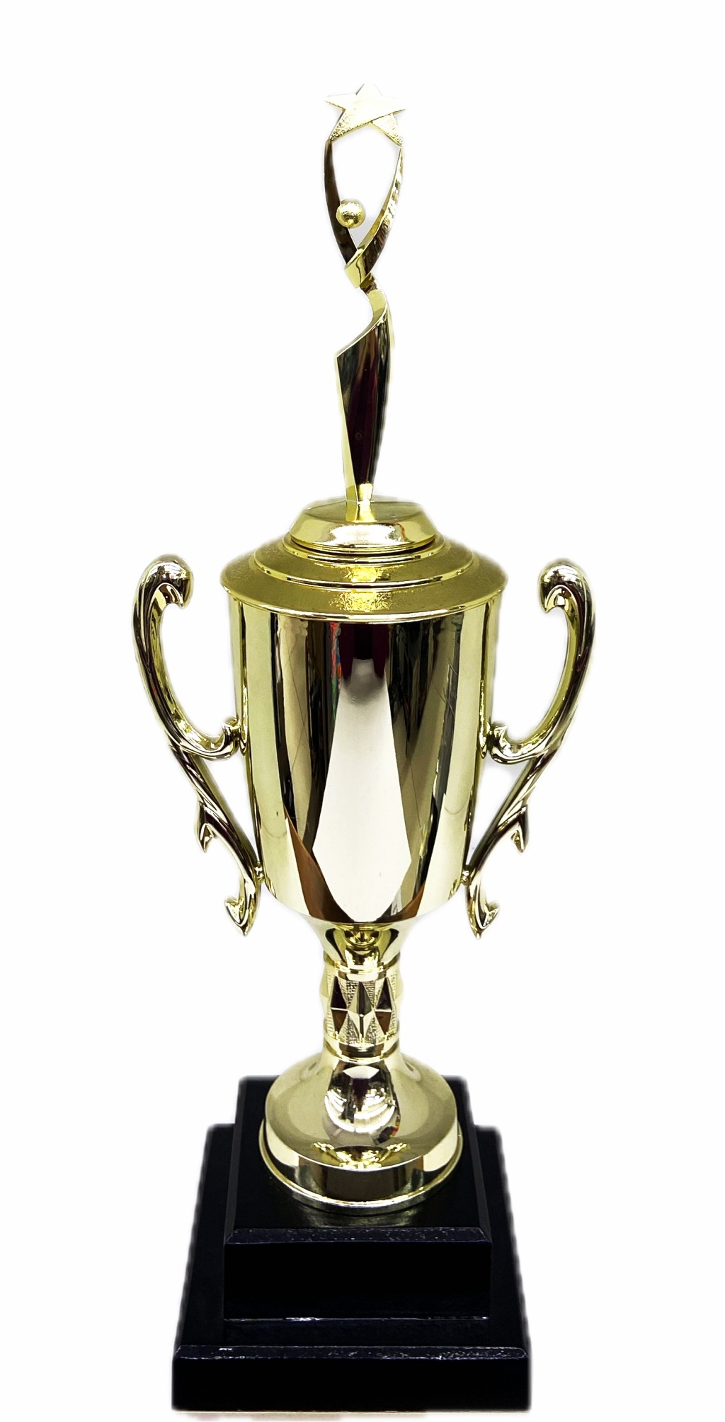Rearch For The Stars Trophy 390mm
