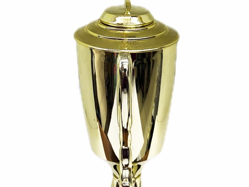 Rearch For The Stars Trophy 430mm