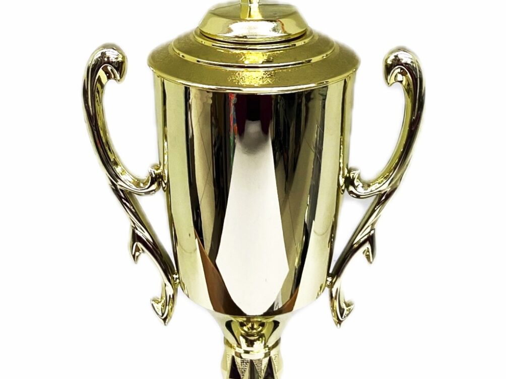 Rearch For The Stars Trophy 430mm