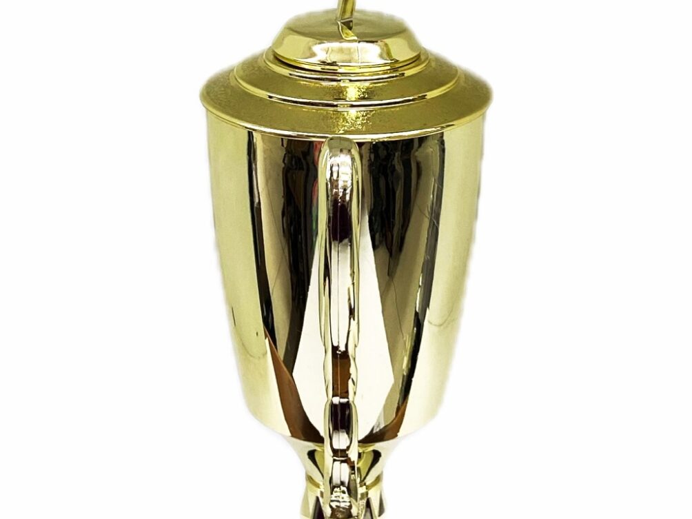 Rearch For The Stars Trophy 430mm