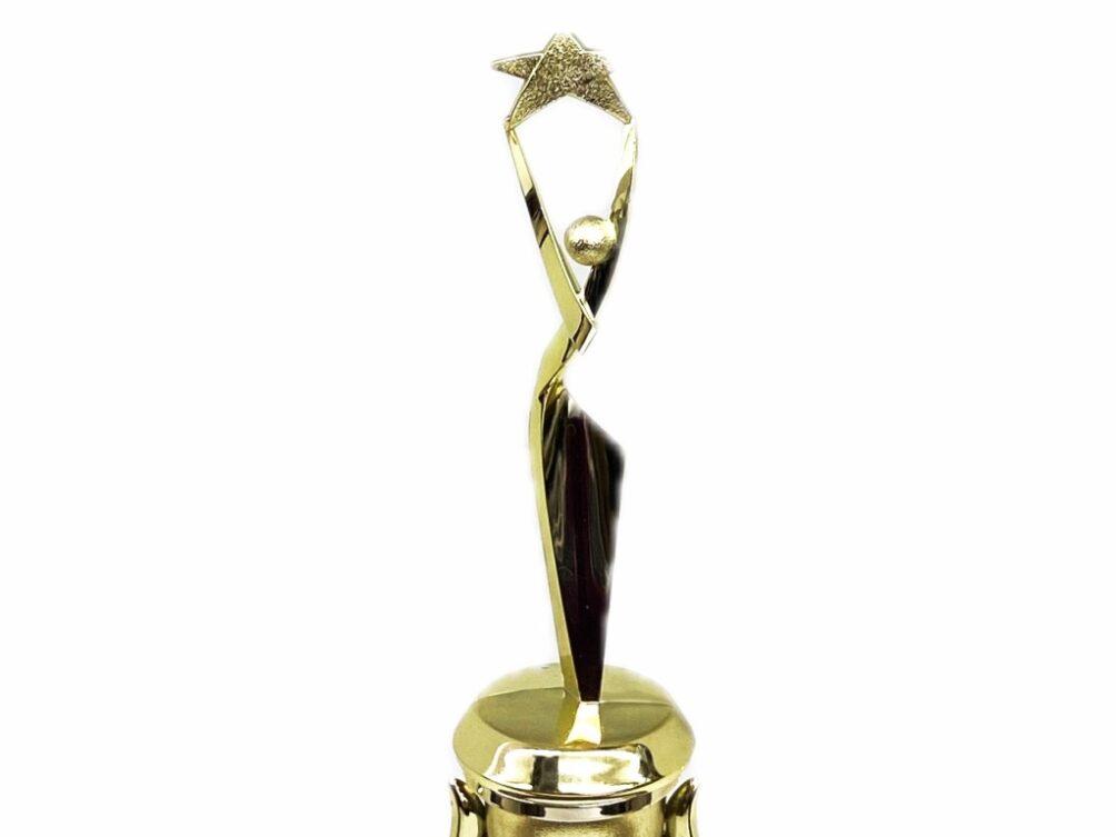 Rearch For The Stars Trophy 290mm