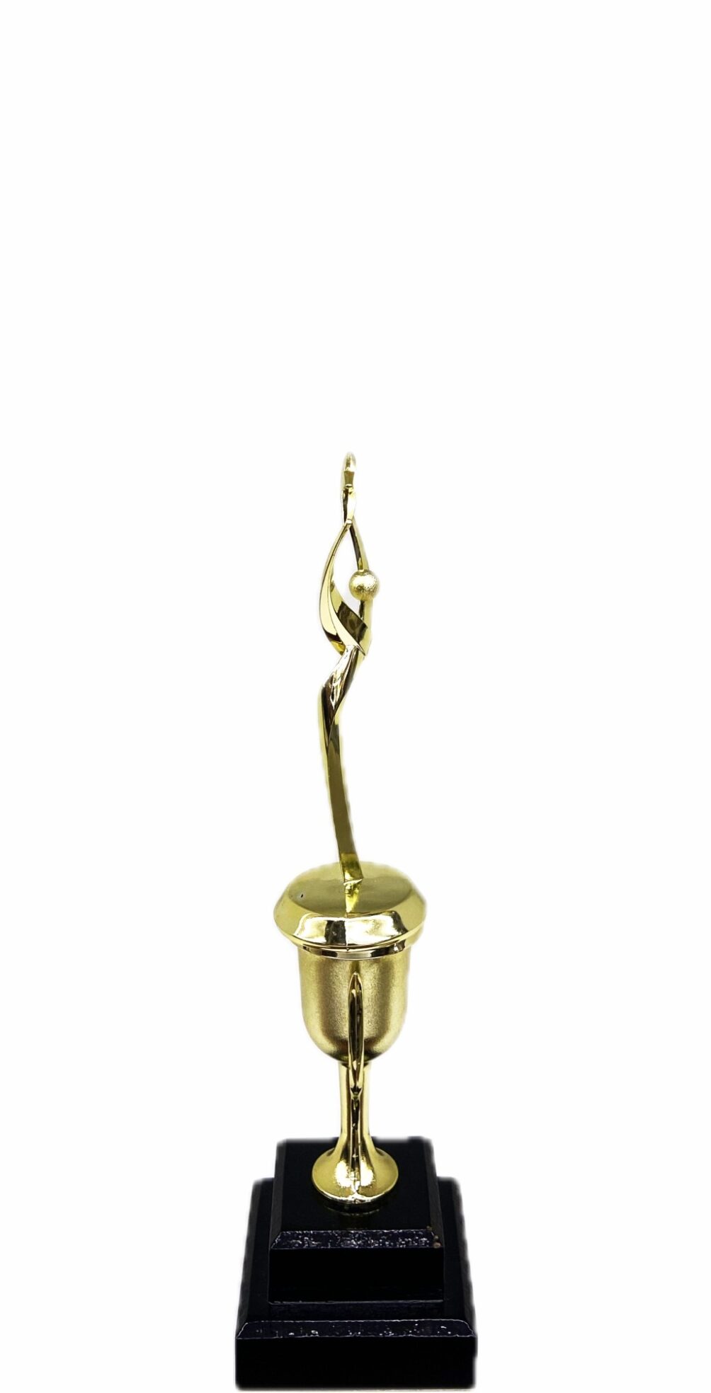 Rearch For The Stars Trophy 290mm