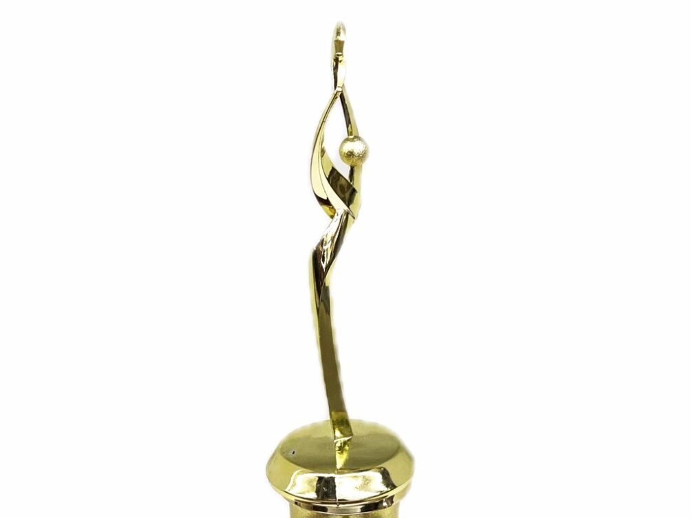 Rearch For The Stars Trophy 290mm