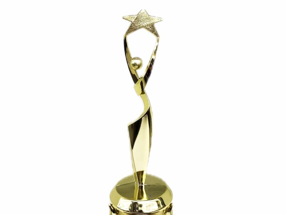 Rearch For The Stars Trophy 290mm