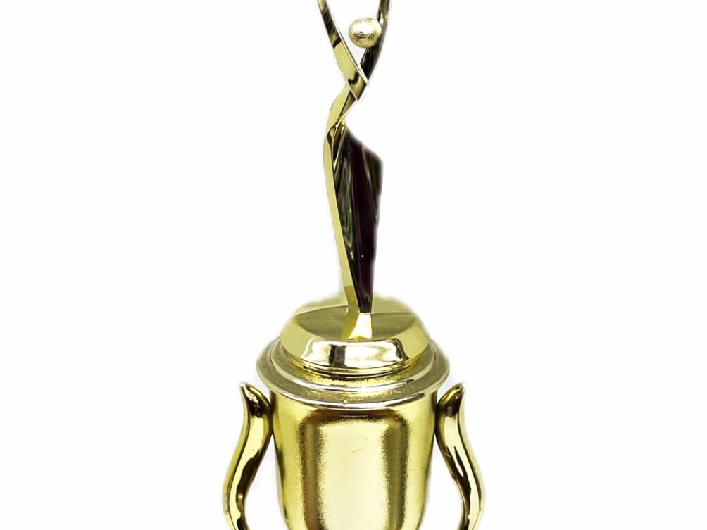Rearch For The Stars Trophy 315mm