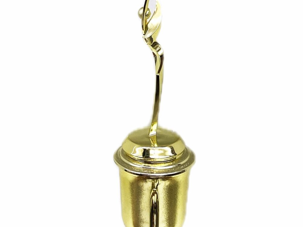 Rearch For The Stars Trophy 315mm