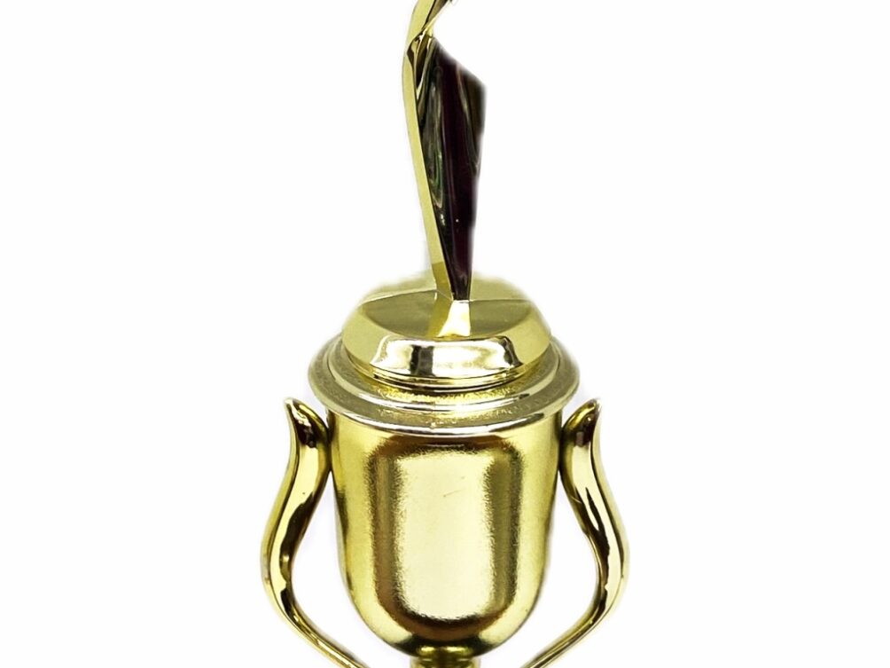 Rearch For The Stars Trophy 350mm
