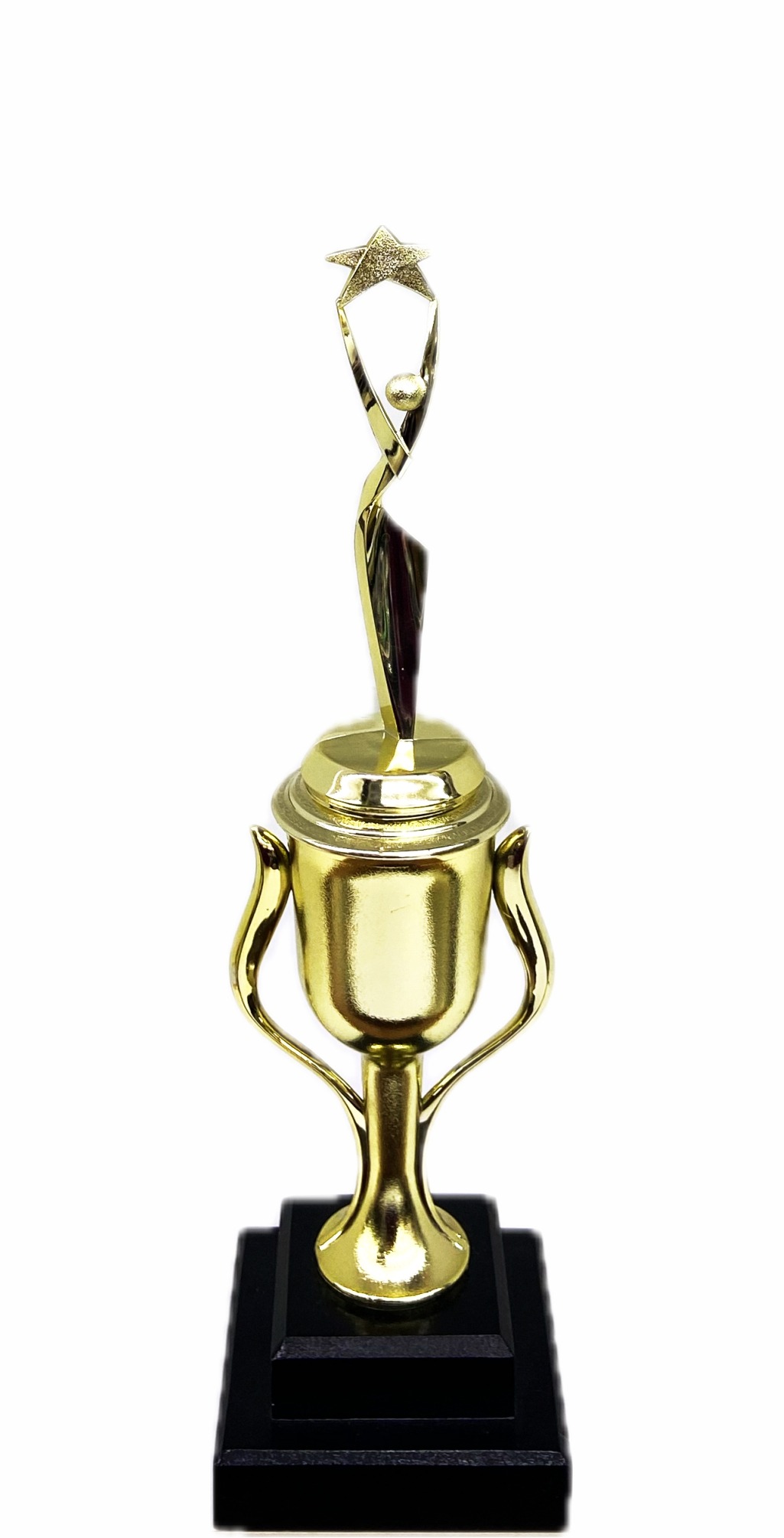 Rearch For The Stars Trophy 350mm