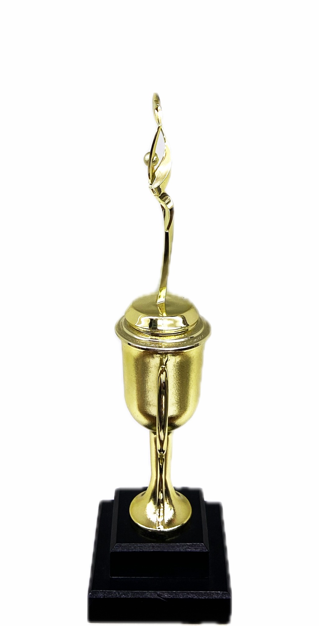 Rearch For The Stars Trophy 350mm