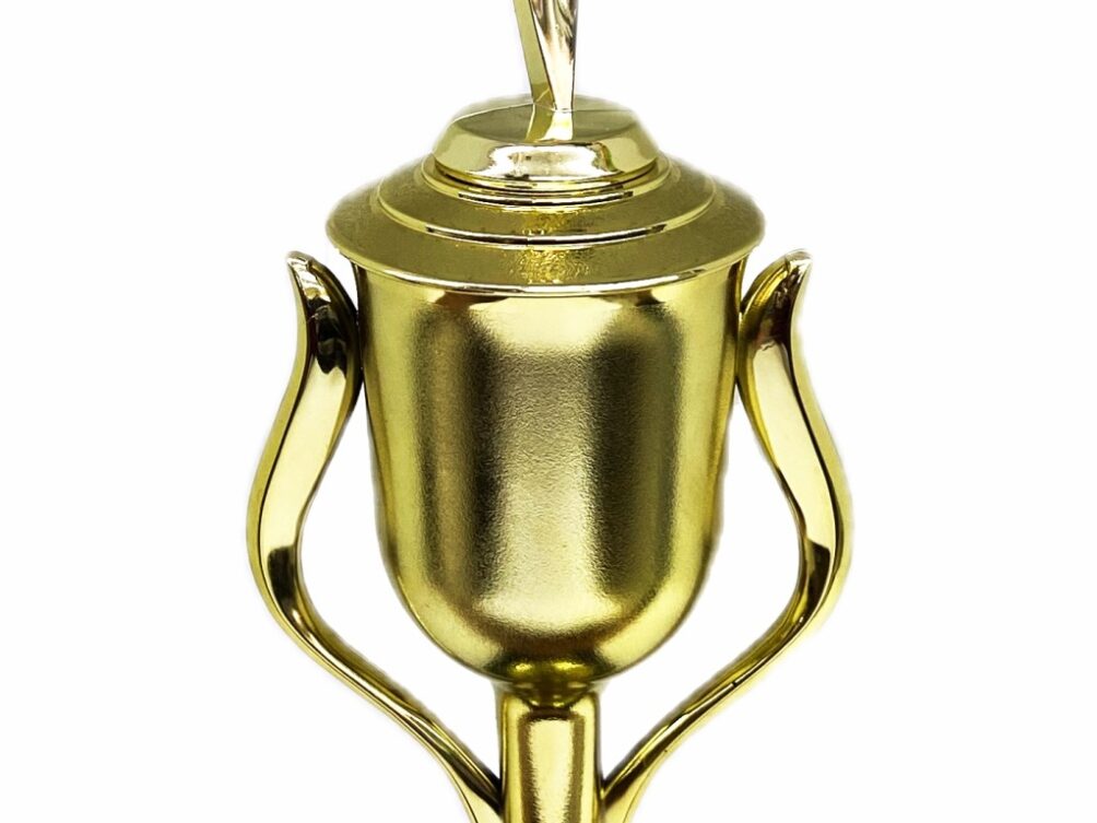Rearch For The Stars Trophy 390mm