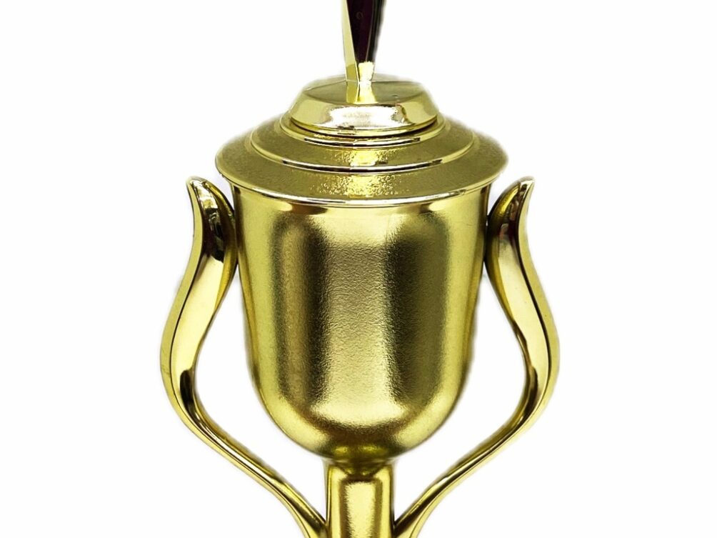 Rearch For The Stars Trophy 390mm