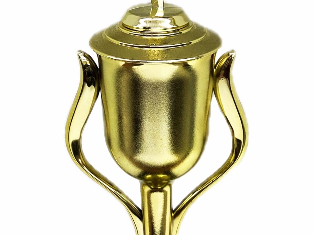 Rearch For The Stars Trophy 430mm