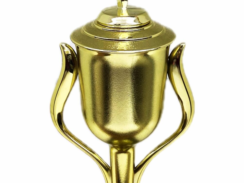 Rearch For The Stars Trophy 430mm