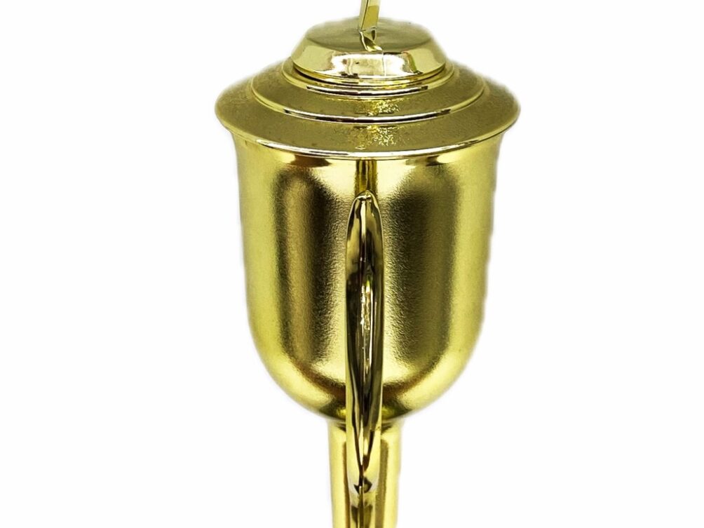 Rearch For The Stars Trophy 430mm