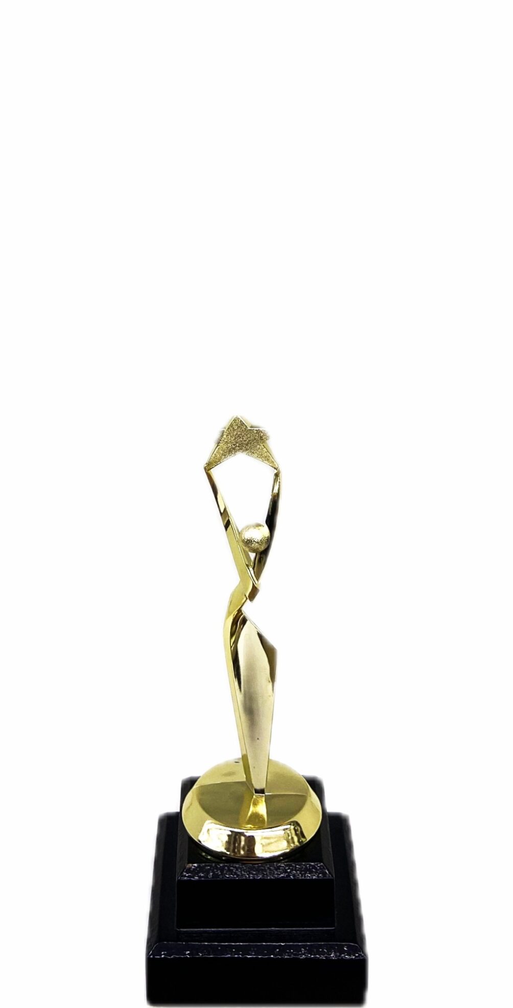 Reach For The Starts Trophy 190mm