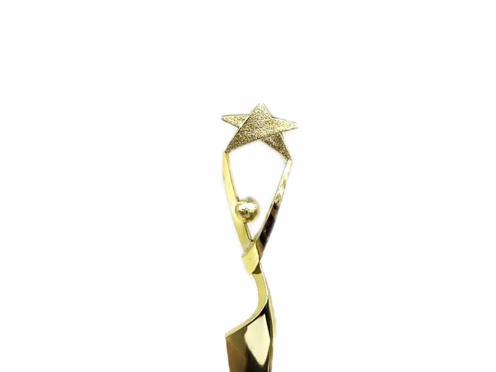 Reach For The Starts Trophy 190mm
