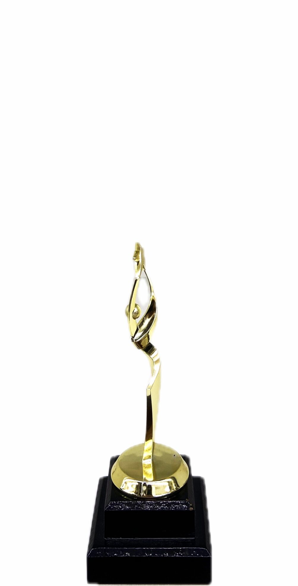 Reach For The Starts Trophy 190mm