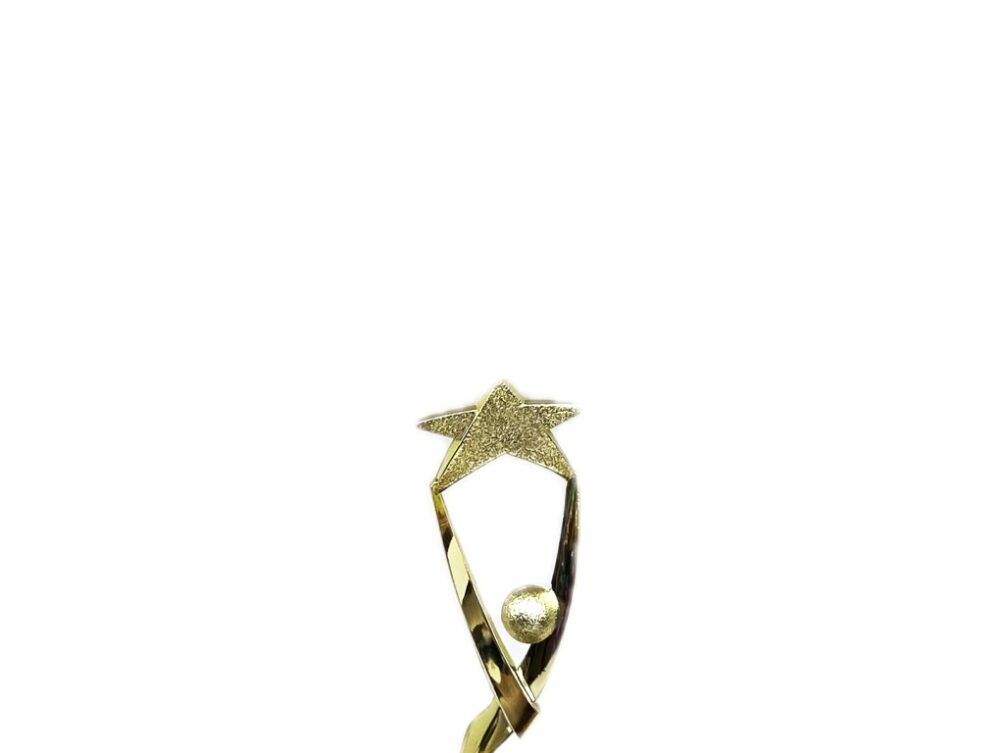 Reach For The Starts Trophy 170mm