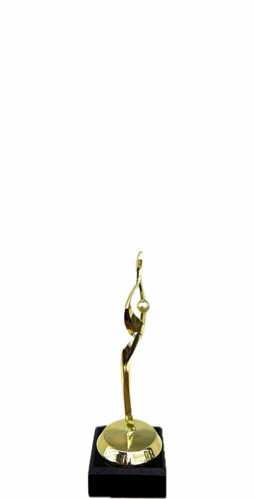 Reach For The Starts Trophy 170mm