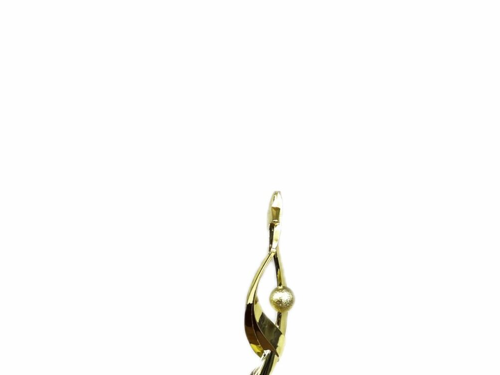 Reach For The Starts Trophy 170mm