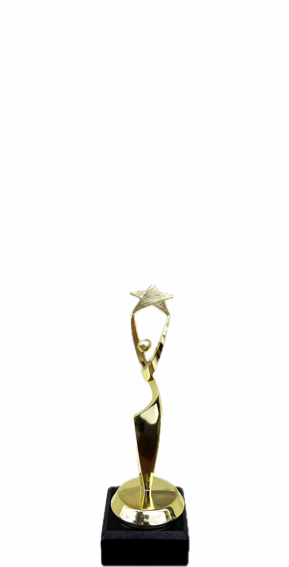 Reach For The Starts Trophy 170mm