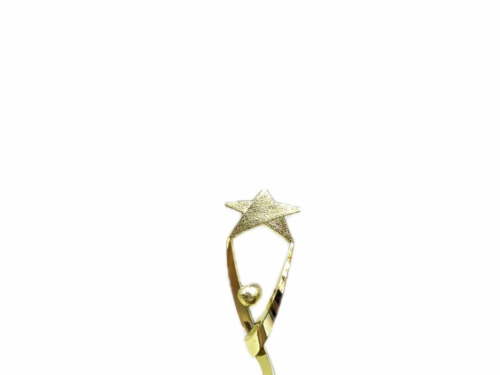 Reach For The Starts Trophy 170mm