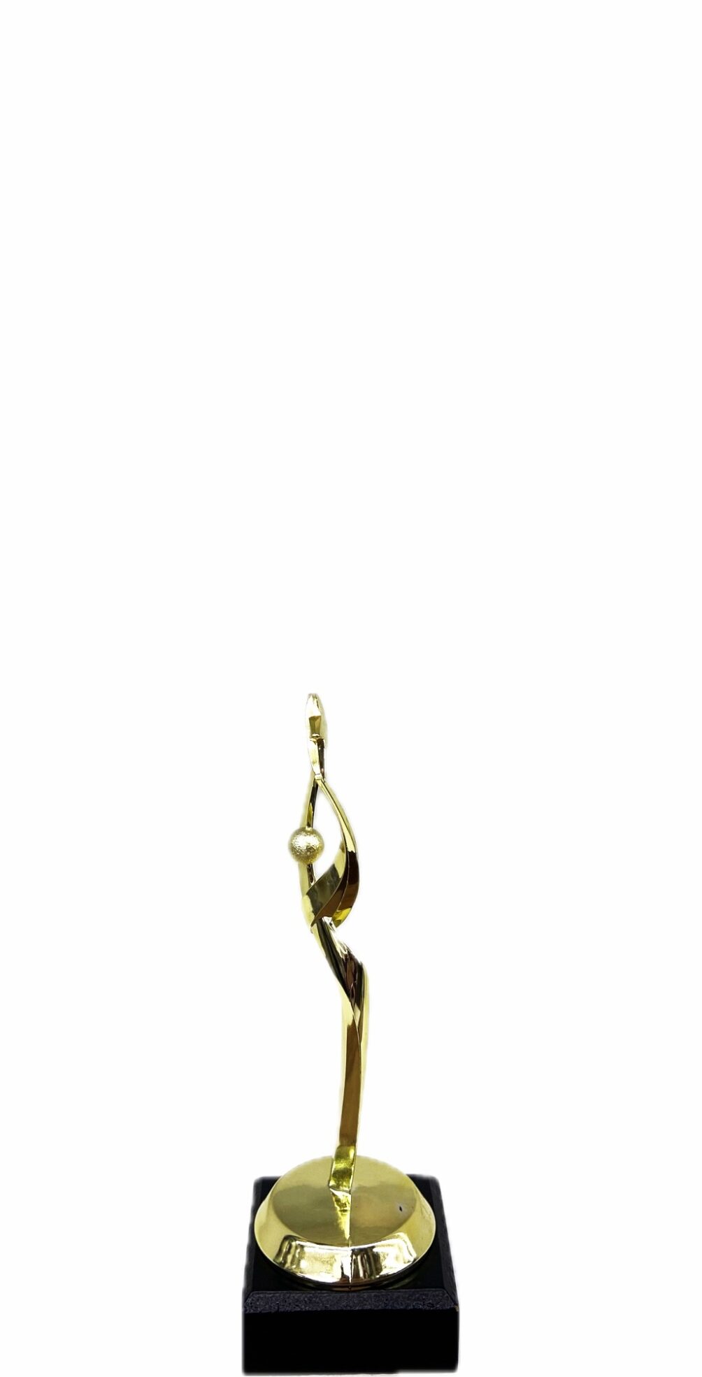 Reach For The Starts Trophy 170mm