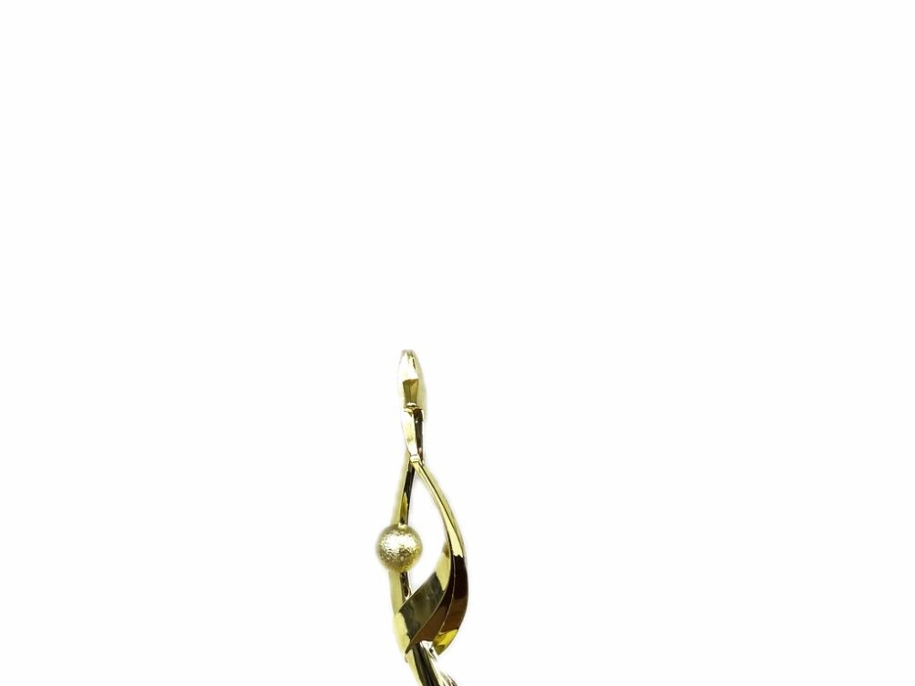 Reach For The Starts Trophy 170mm
