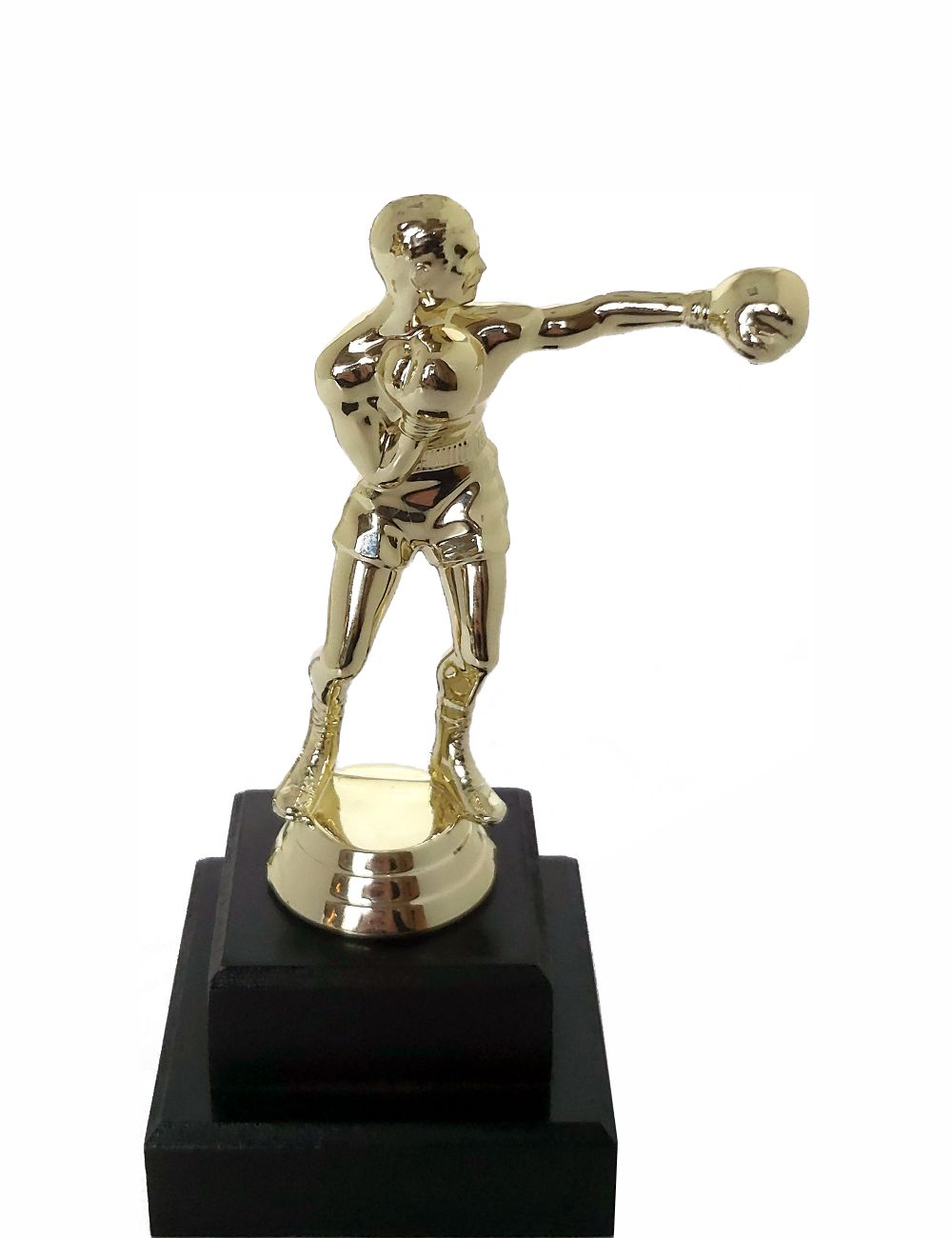 BOXER MALE 165MM