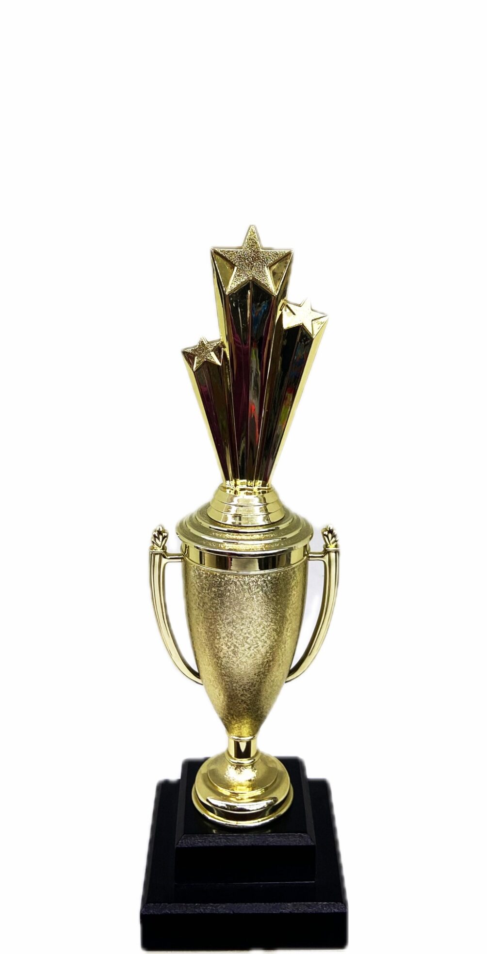 Shooting Star Trophy 305mm