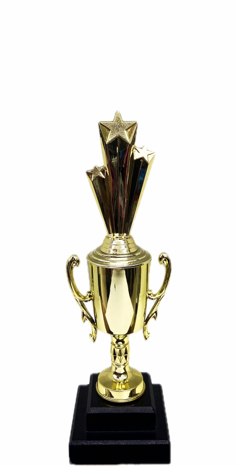 Shooting Star Trophy 305mm