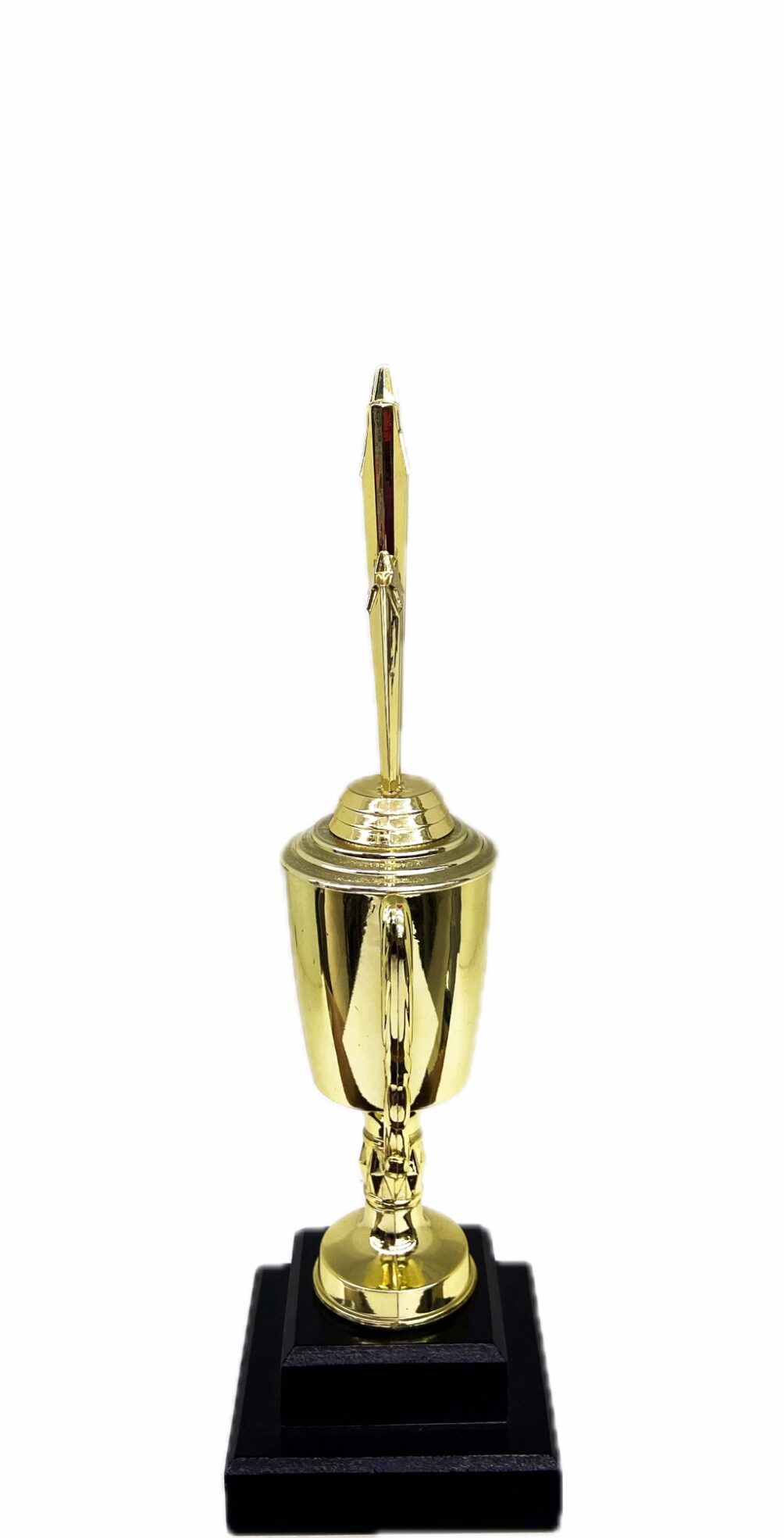 Shooting Star Trophy 305mm