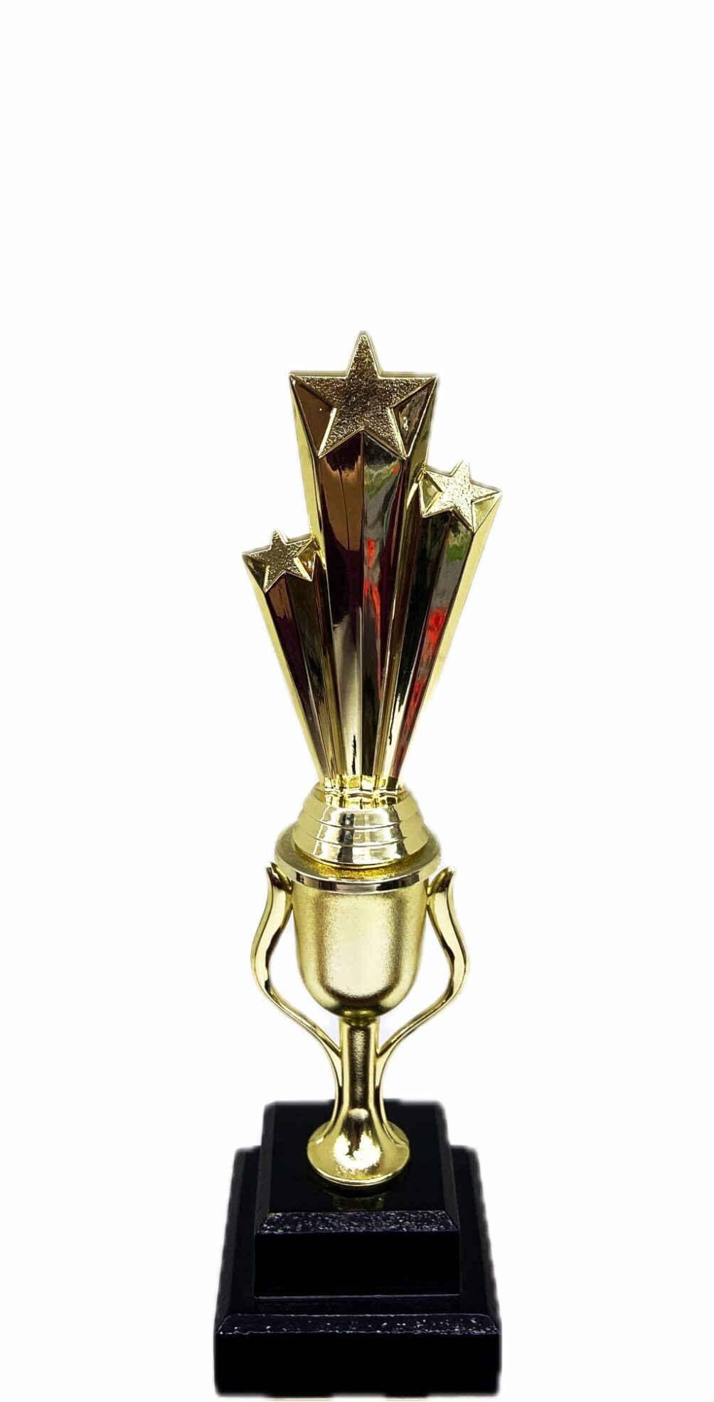Shooting Star Trophy 305mm