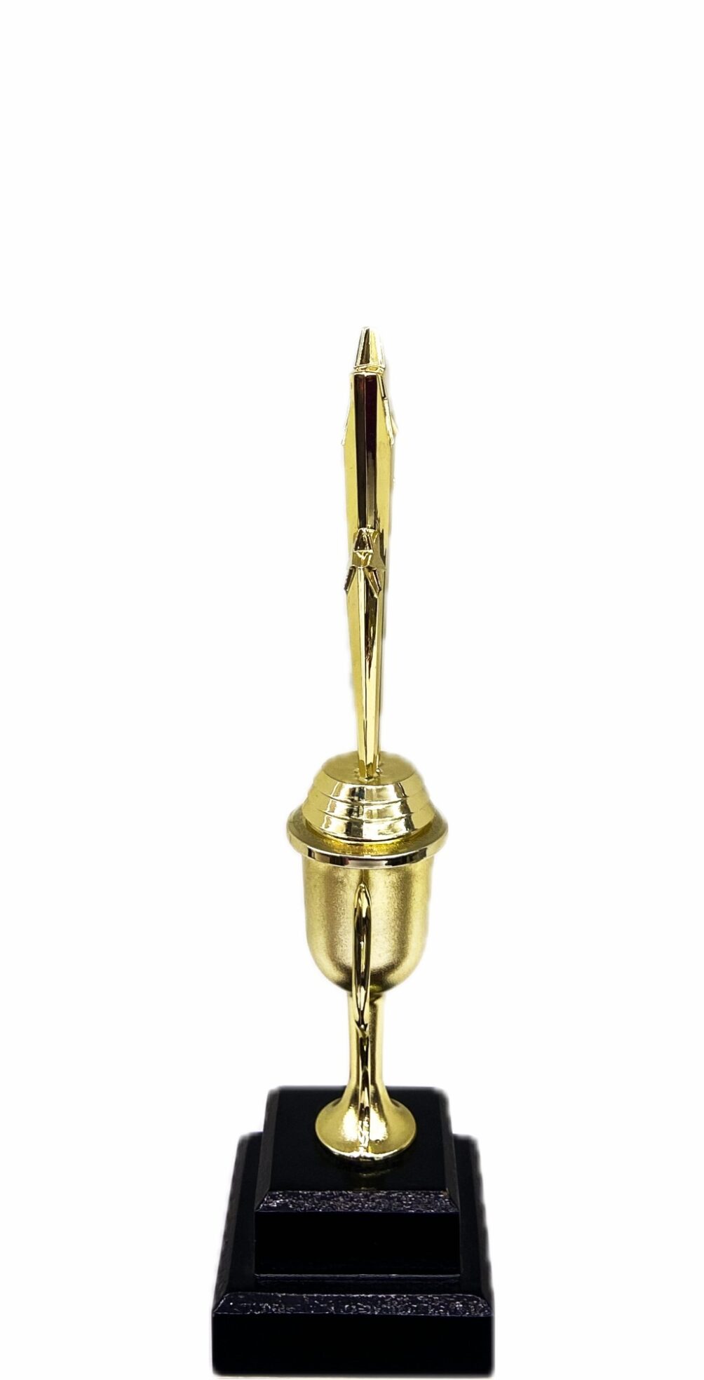 Shooting Star Trophy 305mm