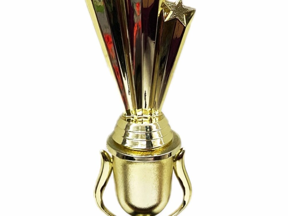 Shooting Star Trophy 340mm