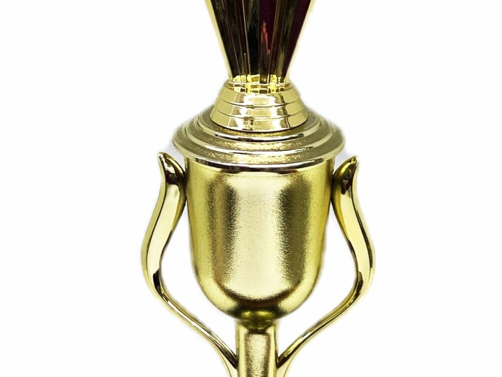 Shooting Star Trophy 380mm
